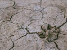 В Європі зникнуть дощі: науковці прогнозують сотні років посухи на континенті В-Європі-зникнуть-дощі:-науковці-прогнозують-сотні-років-посухи-на-континенті