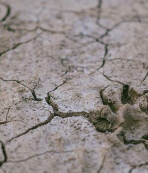 В-Європі-зникнуть-дощі:-науковці-прогнозують-сотні-років-посухи-на-континенті