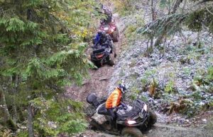 Карпати і війна. Як вирубка лісів, вседозволеність і споживацьке ставлення руйнують гори Карпати-і-війна.-Як-вирубка-лісів,-вседозволеність-і-споживацьке-ставлення-руйнують-гори