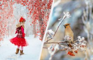 Що потрібно зробити в спальні: усі свята 8 грудня 2025 та звичаї на щастя Що-потрібно-зробити-в-спальні:-усі-свята-8-грудня-2025-та-звичаї-на-щастя