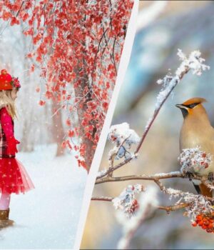 Що-потрібно-зробити-в-спальні:-усі-свята-8-грудня-2025-та-звичаї-на-щастя Що-потрібно-зробити-в-спальні:-усі-свята-8-грудня-2025-та-звичаї-на-щастя