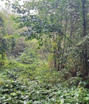 Під-туристичну-інфраструктуру:-у-Світязі-віддають-в-оренду-комунальну-ділянку-на-20-років Під-туристичну-інфраструктуру:-у-Світязі-віддають-в-оренду-комунальну-ділянку-на-20-років