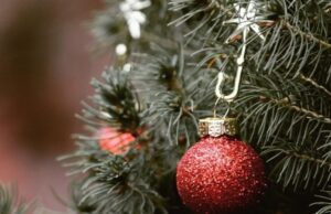 Штрафи за новорічні ялинки: яку відповідальність передбачено 2025 року Штрафи-за-новорічні-ялинки:-яку-відповідальність-передбачено-2025-року