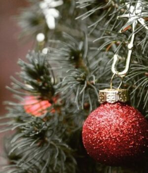 Штрафи-за-новорічні-ялинки:-яку-відповідальність-передбачено-2025-року