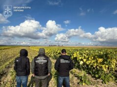 У прикордонні Волині виявили нелегальні тютюнові поля і цех з переробки У-прикордонні-Волині-виявили-нелегальні-тютюнові-поля-і-цех-з-переробки