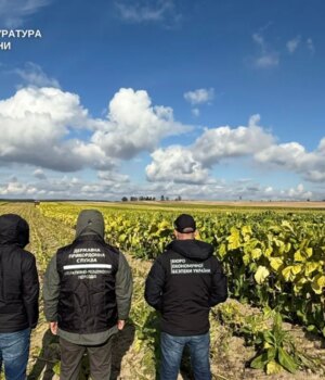 У-прикордонні-Волині-виявили-нелегальні-тютюнові-поля-і-цех-з-переробки У-прикордонні-Волині-виявили-нелегальні-тютюнові-поля-і-цех-з-переробки
