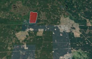 На Волині понад 200 гектарів державної землі здадуть в оренду за більш як пів мільйона гривень... На-Волині-понад-200-гектарів-державної-землі здадуть-в-оренду-за-більш-як-пів-мільйона-гривень.