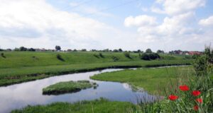 На Волині через суд хочуть захистити гідрологічний заказник На-Волині-через-суд-хочуть-захистити-гідрологічний-заказник