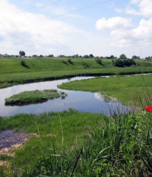 На-Волині-через-суд-хочуть-захистити-гідрологічний-заказник На-Волині-через-суд-хочуть-захистити-гідрологічний-заказник
