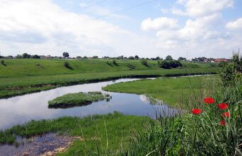 На Волині через суд хочуть захистити гідрологічний заказник На-Волині-через-суд-хочуть-захистити-гідрологічний-заказник