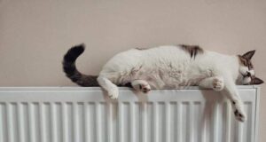 У Луцьку через витік на мережі немає тепла у 5 будинках У-Луцьку-через-витік-на-мережі-немає-тепла-у-5-будинках