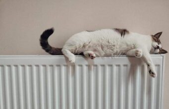 У Луцьку через витік на мережі немає тепла у 5 будинках У-Луцьку-через-витік-на-мережі-немає-тепла-у-5-будинках