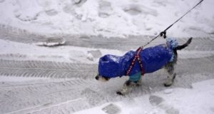 Тепло зникне: синоптикиня розповіла, коли Україну накриє холодний фронт Тепло-зникне:-синоптикиня-розповіла,-коли-Україну-накриє-холодний-фронт