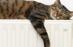 Лучани боргують за опалення і гарячу воду майже 144 мільйони Лучани-боргують-за-опалення-і-гарячу-воду-майже-144-мільйони