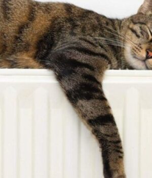 Лучани-боргують-за-опалення-і-гарячу-воду-майже-144-мільйони Лучани-боргують-за-опалення-і-гарячу-воду-майже-144-мільйони