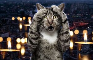 “Ще 2-3 атаки — і все”: експерт про вичерпання запасів обладнання для ремонту енергосистеми “Ще-2-3-атаки-—-і-все”:-експерт-про-вичерпання-запасів-обладнання-для-ремонту-енергосистеми