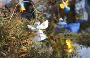 Як зберегти аромат новорічної ялинки надовго: неочікувані поради експертів Як-зберегти-аромат-новорічної-ялинки-надовго:-неочікувані-поради-експертів