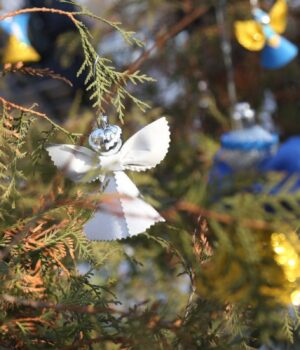 Як-зберегти-аромат-новорічної-ялинки-надовго:-неочікувані-поради-експертів Як-зберегти-аромат-новорічної-ялинки-надовго:-неочікувані-поради-експертів