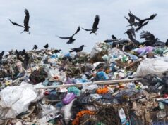 Вчені оцінили обсяг сміття, що викидають на Землі щороку Вчені-оцінили-обсяг-сміття,-що-викидають-на-Землі-щороку