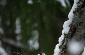 День ангела 10 грудня: кого та як вітати з іменинами День-ангела-10 грудня:-кого-та як вітати-з іменинами