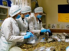 Студенти Волинського медінституту виготовляють цілющі мазі та чаї для захисників України Студенти-Волинського-медінституту-виготовляють-цілющі-мазі-та-чаї-для-захисників-України