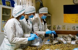 Студенти Волинського медінституту виготовляють цілющі мазі та чаї для захисників України Студенти-Волинського-медінституту-виготовляють-цілющі-мазі-та-чаї-для-захисників-України