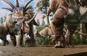 Вчені виявили, що динозаври, зокрема диплодоки, могли бути барвистими, як птахи Вчені-виявили,-що-динозаври,-зокрема-диплодоки,-могли-бути-барвистими,-як-птахи