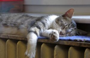 Як зменшити витрати на опалення узимку: дієві правила для дому Як зменшити-витрати-на опалення-узимку:-дієві-правила-для-дому