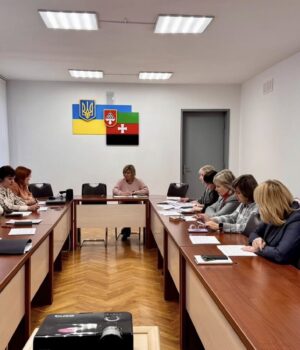 Комісія-розглянула-п’ять-заяв-щодо-встановлення-факту-постійного-догляду