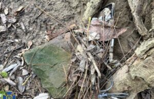 У Житомирі 16-річна школярка готувала теракт на замовлення росії У-Житомирі-16-річна-школярка-готувала-теракт-на-замовлення-росії