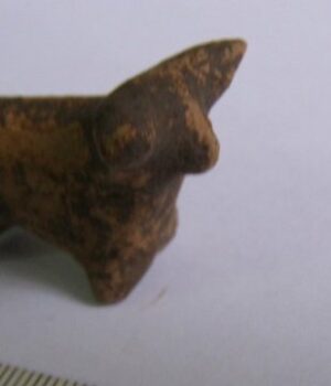 Біля-Галича-археологи-знайшли-артефакт-Трипільської-культури Біля-Галича-археологи-знайшли-артефакт-Трипільської-культури