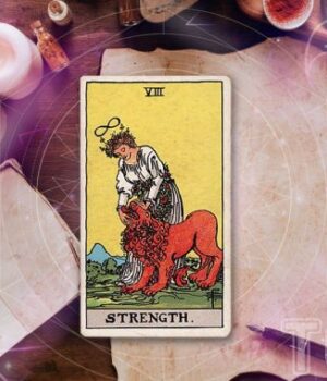 Таропрогноз-на-11-грудня-2025-року-для-всіх-знаків-зодіаку Таропрогноз-на-11-грудня-2025-року-для-всіх-знаків-зодіаку