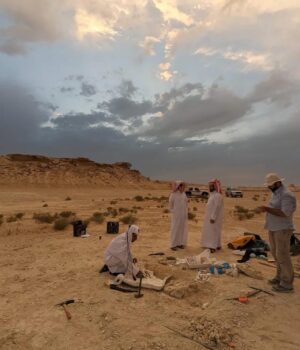 У-пустелі-Катару-знайшли-гігантське-“кладовище-тварин”-віком-21-млн-років:-що-це-було