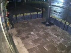 «Бо мене буде гризти!» — крадіжка іграшки з Golden Waffles: відео зі звуком розсмішило мережу «Бо-мене-буде-гризти!»-—-крадіжка-іграшки-з-golden-waffles:-відео-зі-звуком-розсмішило-мережу