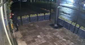 «Бо мене буде гризти!» — крадіжка іграшки з Golden Waffles: відео зі звуком розсмішило мережу «Бо-мене-буде-гризти!»-—-крадіжка-іграшки-з-golden-waffles:-відео-зі-звуком-розсмішило-мережу