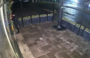 «Бо мене буде гризти!» — крадіжка іграшки з Golden Waffles: відео зі звуком розсмішило мережу «Бо-мене-буде-гризти!»-—-крадіжка-іграшки-з-golden-waffles:-відео-зі-звуком-розсмішило-мережу