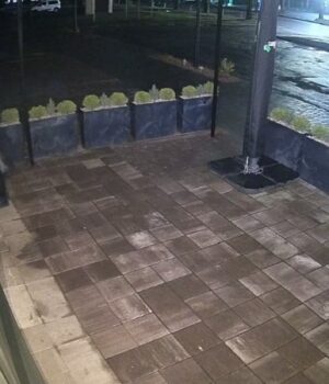 «Бо-мене-буде-гризти!»-—-крадіжка-іграшки-з-golden-waffles:-відео-зі-звуком-розсмішило-мережу «Бо-мене-буде-гризти!»-—-крадіжка-іграшки-з-golden-waffles:-відео-зі-звуком-розсмішило-мережу