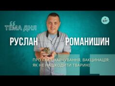 Тема дня | Руслан Романишин про сказ, харчування, вакцинація: як не нашкодити тварині (ВІДЕО) Тема дня | Руслан Романишин про сказ, харчування, вакцинація: як не нашкодити тварині (ВІДЕО)