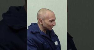 СЪЕЛИ 2 ДЕРЕВА ГРУШ (ВІДЕО) СЪЕЛИ 2 ДЕРЕВА ГРУШ (ВІДЕО)