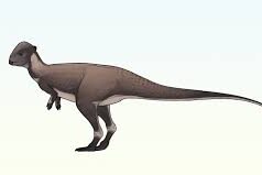 Учені виявили новий вид динозаврів, який жив близько 75 мільйонів років тому Учені-виявили-новий-вид-динозаврів,-який-жив-близько-75-мільйонів-років-тому