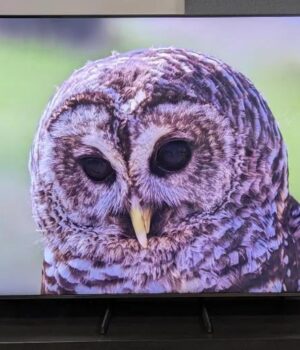 Якість-картинки-падає,-якщо-ця-функція-hdmi-вимкнена-–-перевірте-свій-телевізор Якість-картинки-падає,-якщо-ця-функція-hdmi-вимкнена-–-перевірте-свій-телевізор