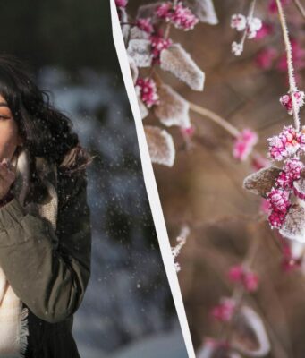 12 грудня в Україні настає велике свято: кого привітати і що не можна робити 12-грудня-в-Україні-настає-велике-свято:-кого-привітати-і-що-не-можна-робити