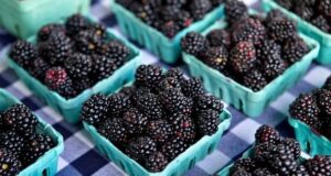 Сидяча робота б’є по серцю: 6 продуктів, які можуть його захистити Сидяча-робота-б’є-по серцю:-6 продуктів,-які-можуть-його-захистити