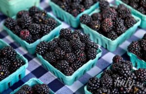 Сидяча робота б’є по серцю: 6 продуктів, які можуть його захистити Сидяча-робота-б’є-по серцю:-6 продуктів,-які-можуть-його-захистити