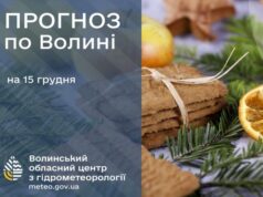 Якою буде погода у Луцьку та на Волині завтра, 15 грудня Якою-буде-погода-у-Луцьку-та-на-Волині-завтра,-15-грудня