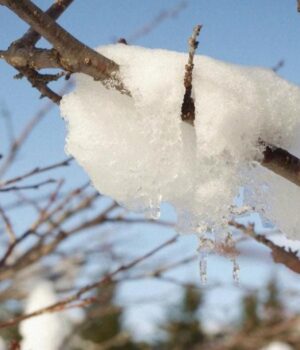 З-15-грудня-погода-в-Україні-почне-поліпшуватися