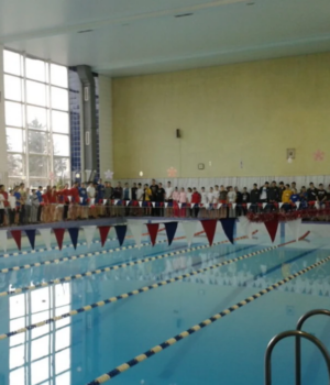 Ексдиректора-спортшколи-в-Луцьку-не-судитимуть-за-підробку-документів Ексдиректора-спортшколи-в-Луцьку-не-судитимуть-за-підробку-документів