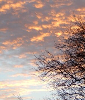 Антициклон-frieda-змінить-погоду-в-Україні,-–-синоптикиня-Діденко Антициклон-frieda-змінить-погоду-в-Україні,-–-синоптикиня-Діденко