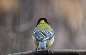 16 грудня опади підуть геть і в Україні стане тепліше 16-грудня-опади-підуть-геть-і-в-Україні-стане-тепліше