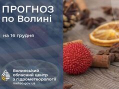 Якою буде погода у Луцьку та на Волині завтра, 16 грудня Якою-буде-погода-у-Луцьку-та-на-Волині-завтра,-16-грудня